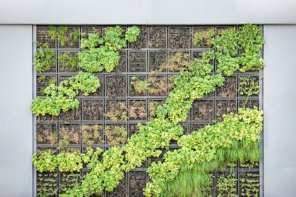 living wall vertical gardening